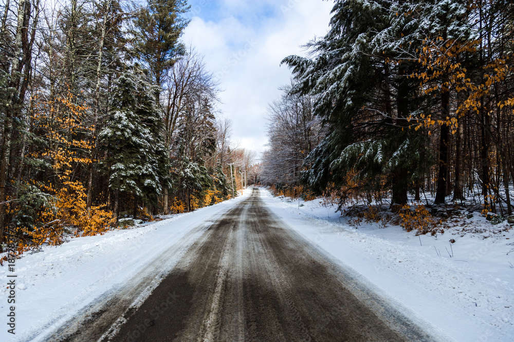 View of empty road passing through forest in winter View of empty road passing through forest in winter