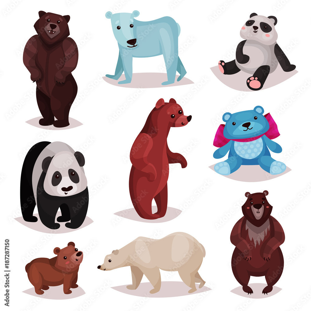 Different species of bears set, wild bears and toys furry bear characters  cartoon vector Illustrations Stock Vector | Adobe Stock