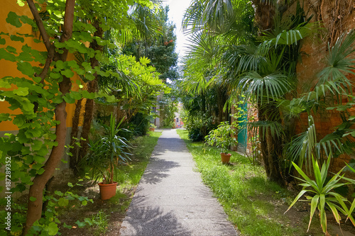 Venice, Italy - August 14, 2017: Picturesque green courtyard in Venice street.