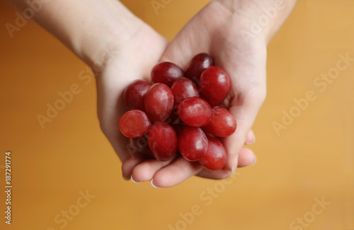 hands of a woman holding red grapes