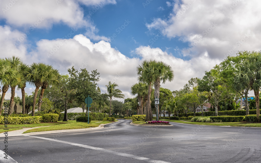 Gated community street with palms in South Florida, United States
