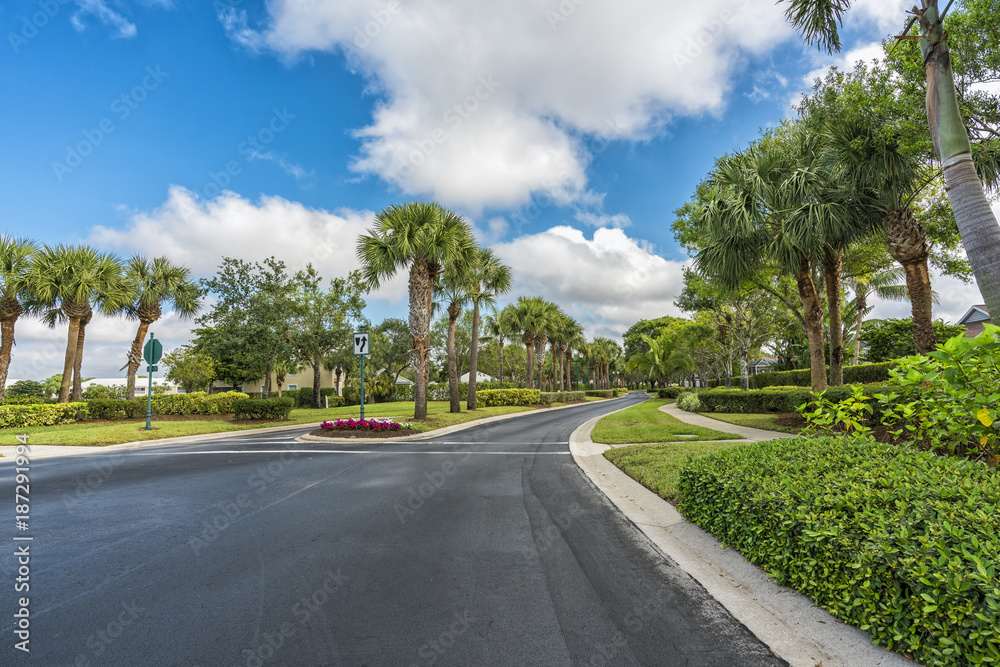 Gated community street with palms in South Florida, United States