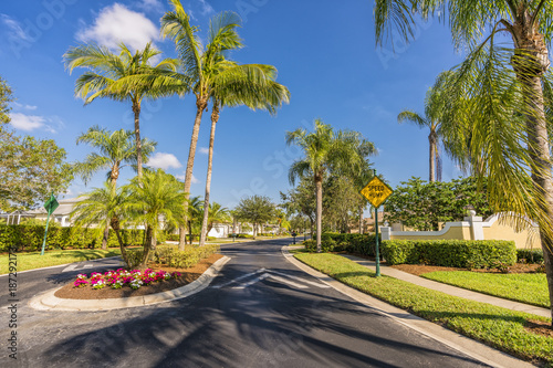 Gated community road with palms, South Florida