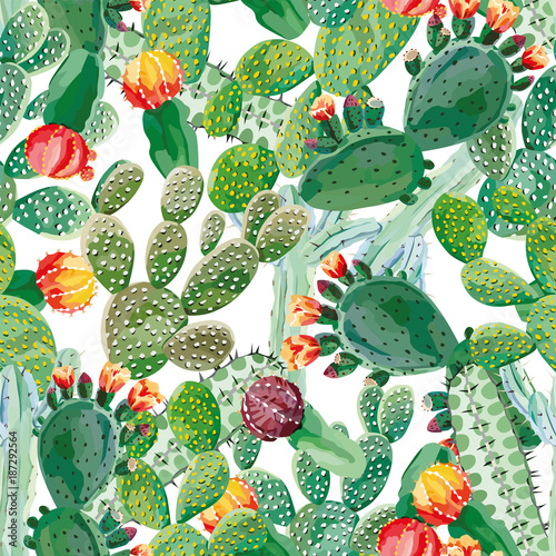 Cactus seamless pattern white background