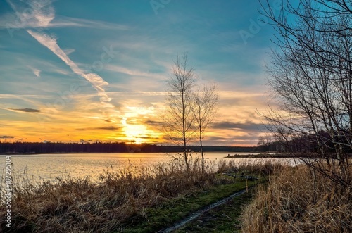 Beautiful sunset landscape. Trees on the shore of the lake with a colorful sky in the background.