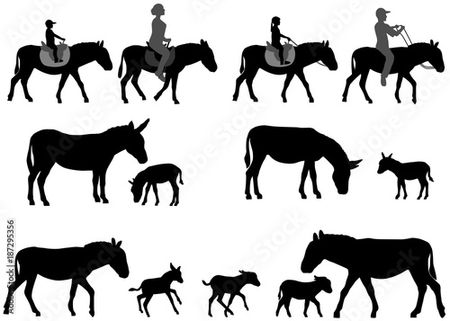 Collection of silhouettes of adult donkeys and foals