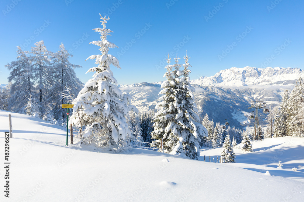 Picturesque winter landscape