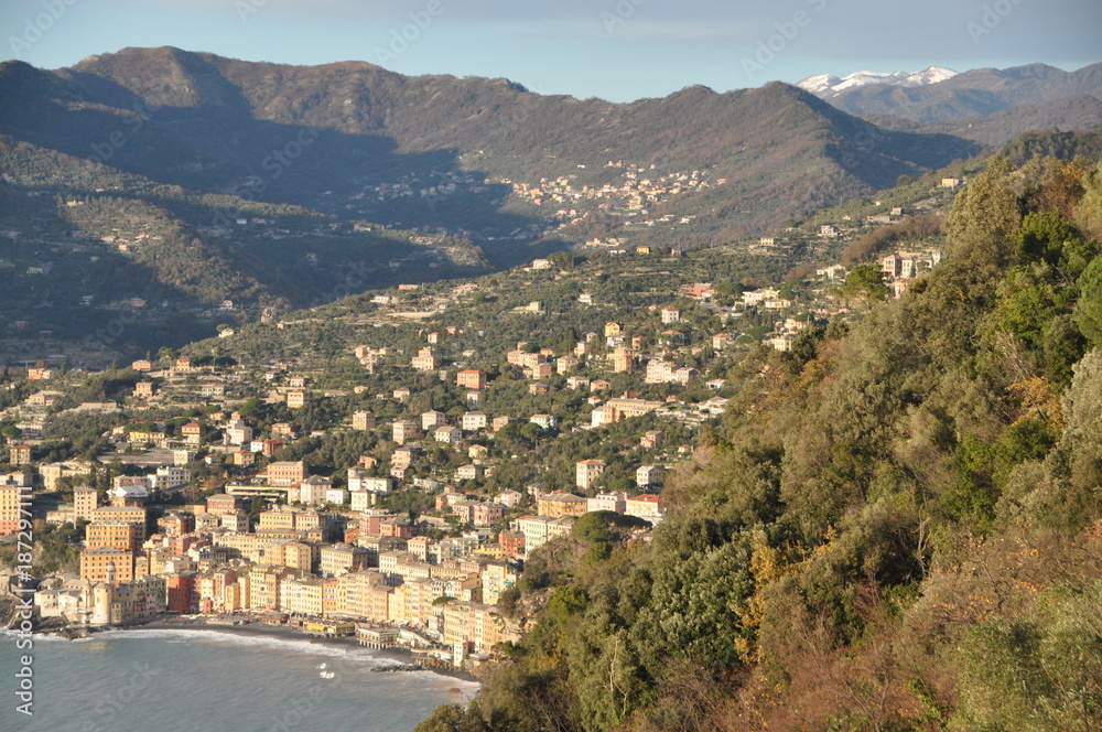 the old traditional fishing village of Camogli seen from San Rocco, Genoa province, Liguria, Italy
