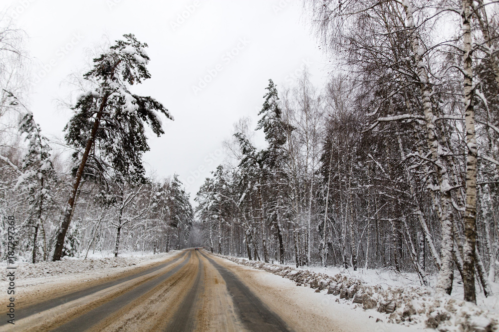 Asphalt road in the forest in winter