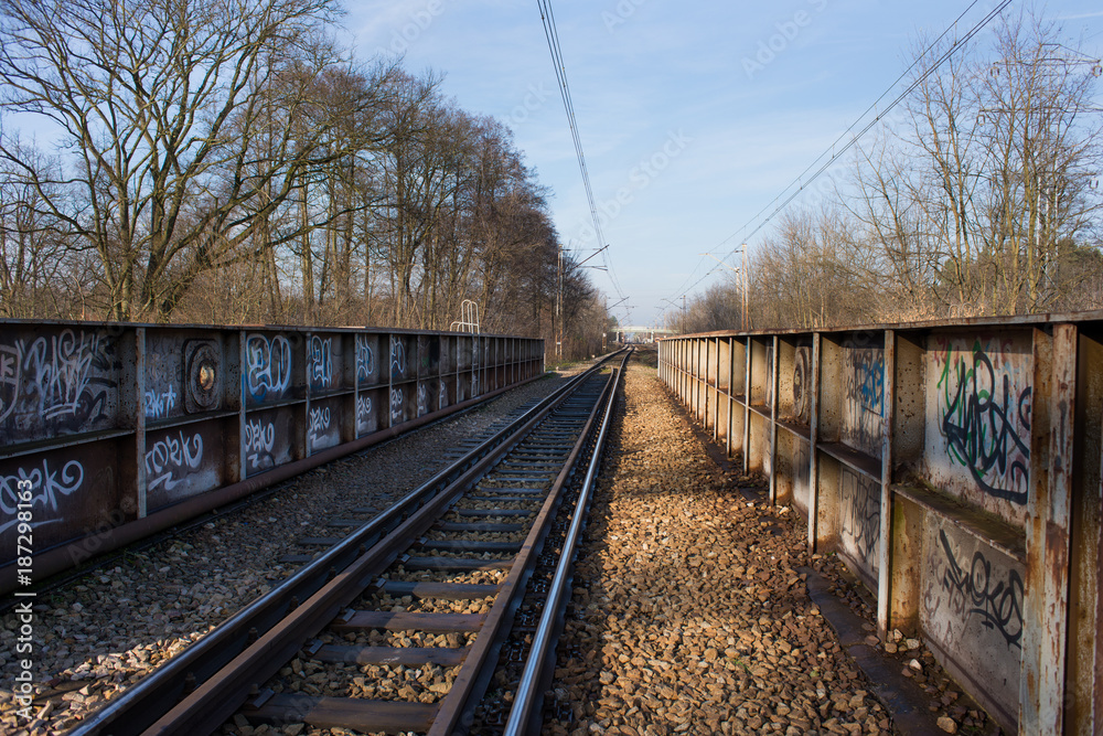 Fototapeta premium Tory