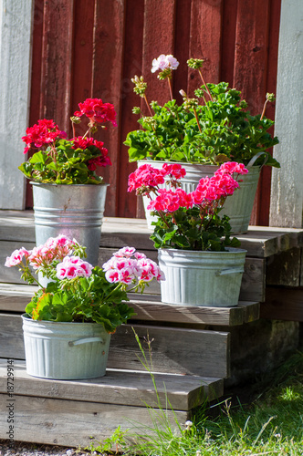 Flowers standing on steps to a red house