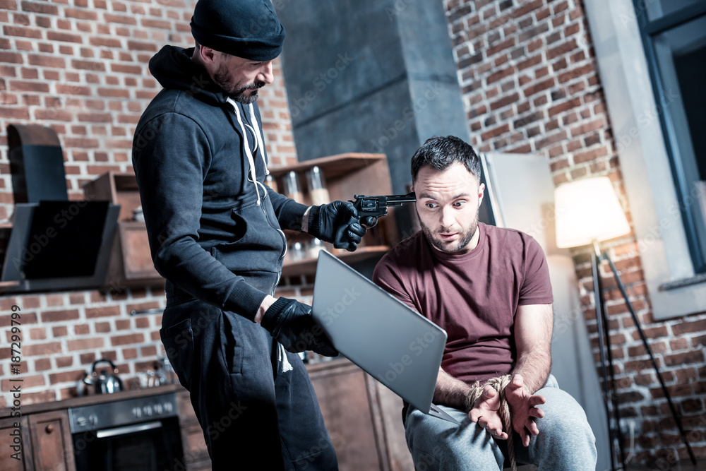 Fototapeta premium Transfering money. Panic intimidated bearded man sitting with his hands tied while a killer standing near him and holding a gun and a laptop and demanding transferring money