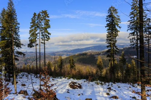 Fototapeta Naklejka Na Ścianę i Meble -  Winter scenery in the Beskidy Mountains in Poland.