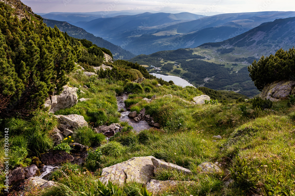 The serene valleys of the high Carpathian mountains in Romania
