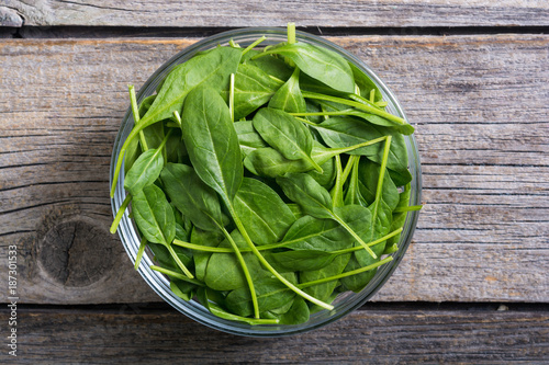 fresh green baby spinach