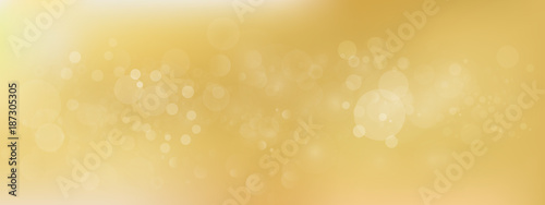 luxury Gold bokeh vector image for background.

