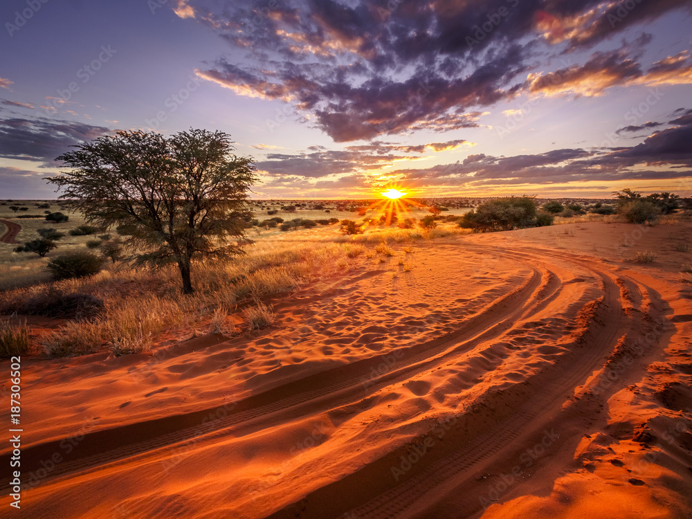 Beautiful sunset over the scenic kalahari-landscape in Namibia - obrazy, fototapety, plakaty 