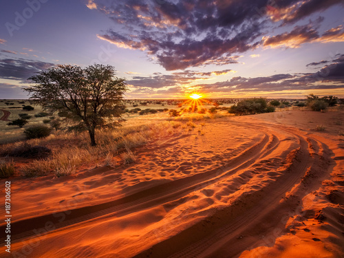 Beautiful sunset over the scenic kalahari-landscape in Namibia photo