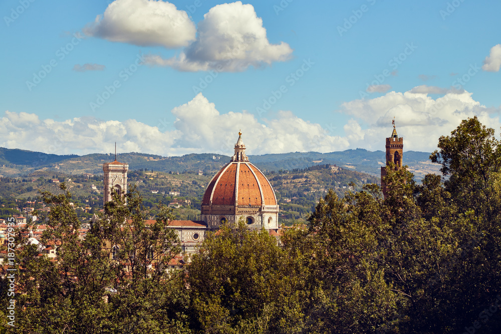 View of the dome of the Duomo of Santa Maria del Fiore in Florence, Italy from the Boboli garden with trees in the foreground