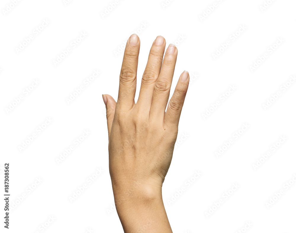 Fototapeta premium hand woman with isolated white back ground