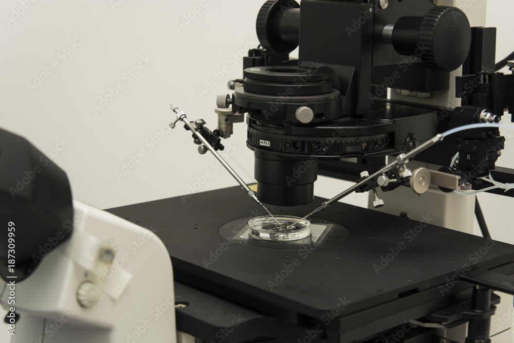 Fototapeta premium Scientific microscope in laboratory