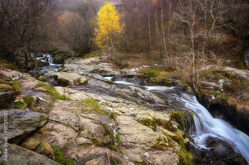 Cascades in Aria Force