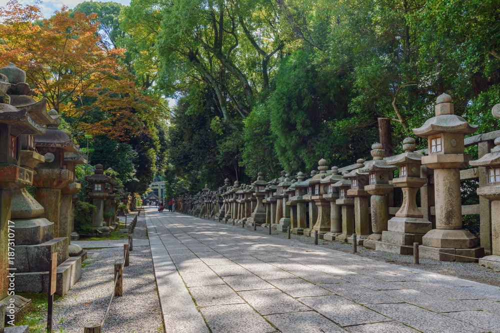 石清水八幡宮　上院参道の石灯籠群