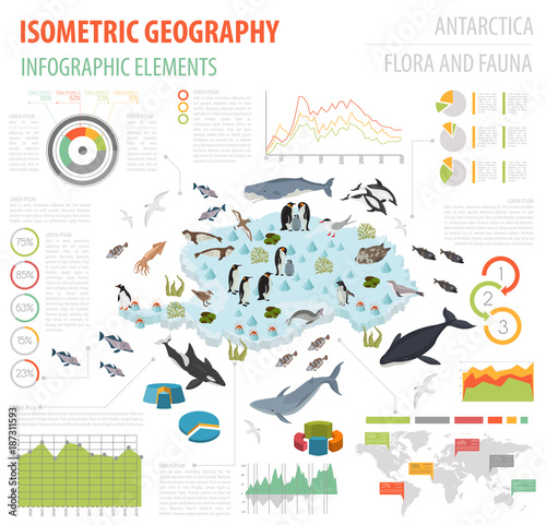 Isometric 3d Antarctica flora and fauna map elements. Animals, birds and sea life. Build your own geography infographics collection