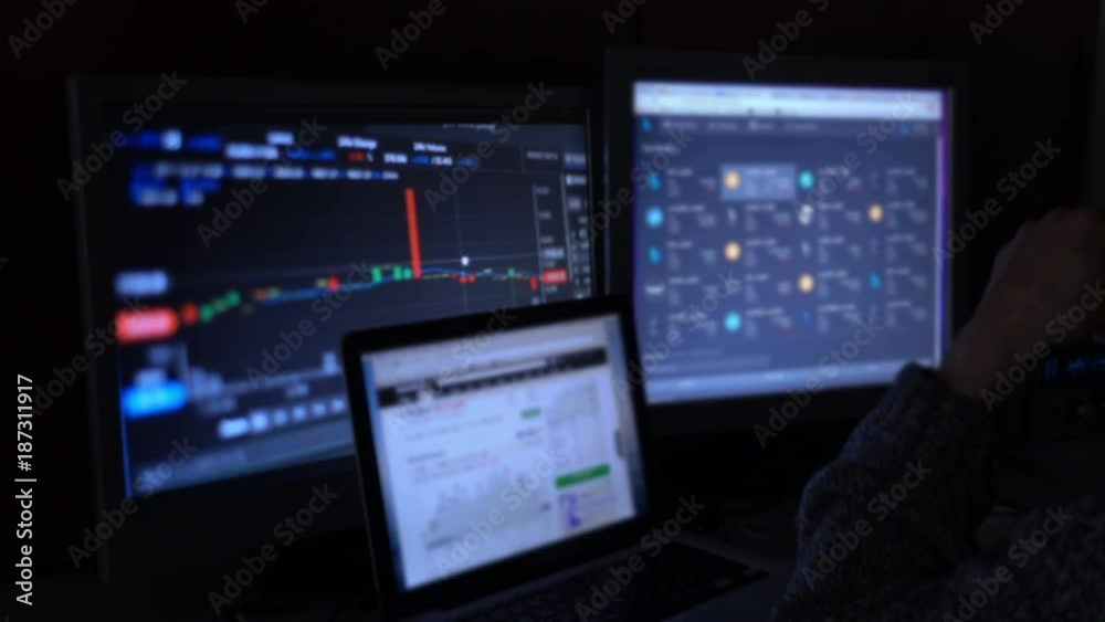 Trader Looking at Financial Charts Trader Looking at Financial Charts