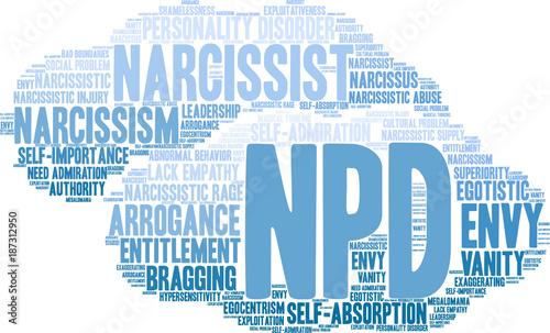 NPD Word Cloud on a white background. 