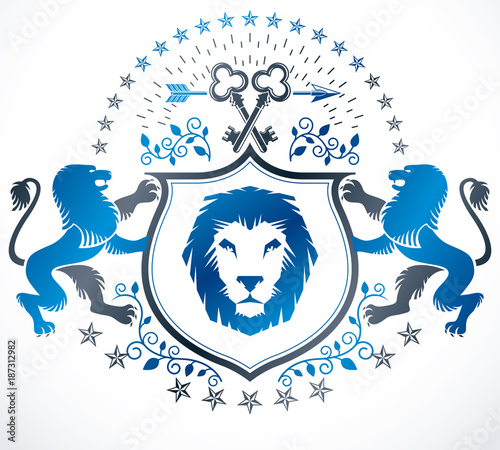 Fototapeta Naklejka Na Ścianę i Meble -  Old style heraldry, heraldic emblem, vector illustration.