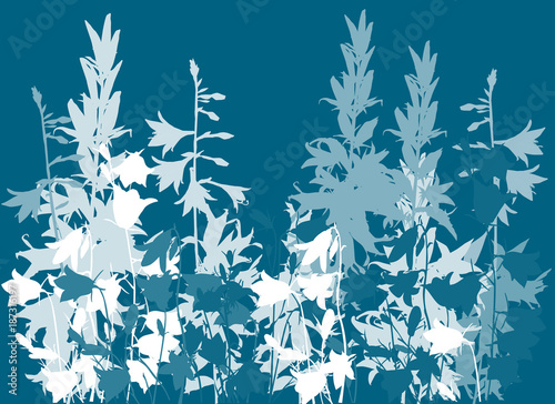 bellflowers isolated on cyan background