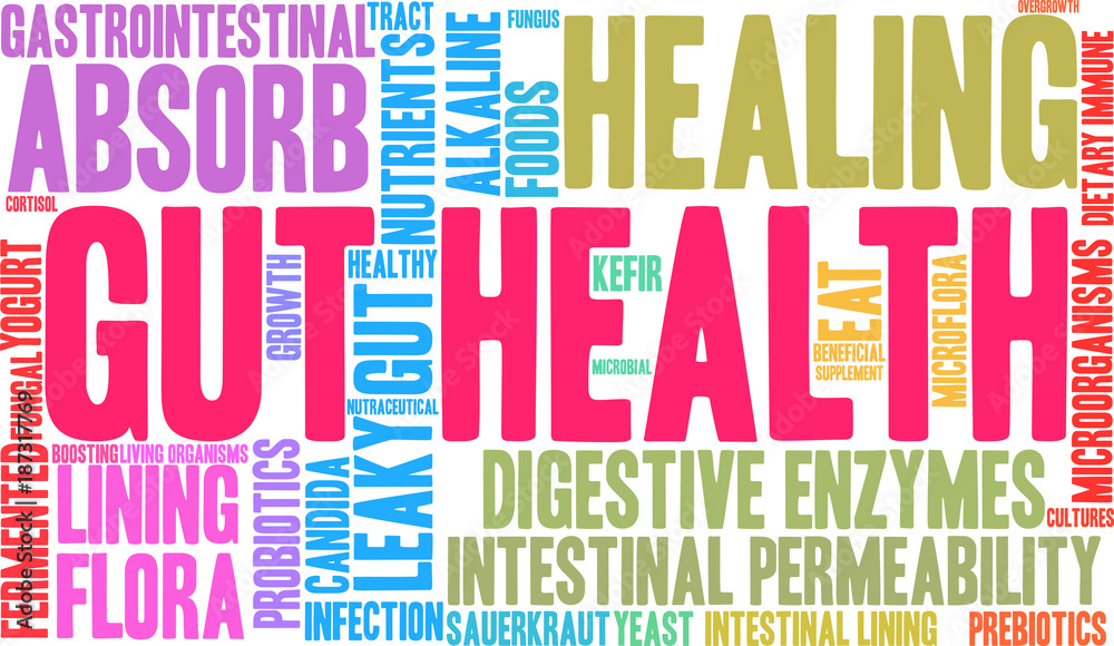Gut Health Word Cloud on a white background. Gut Health Word Cloud on a white background.