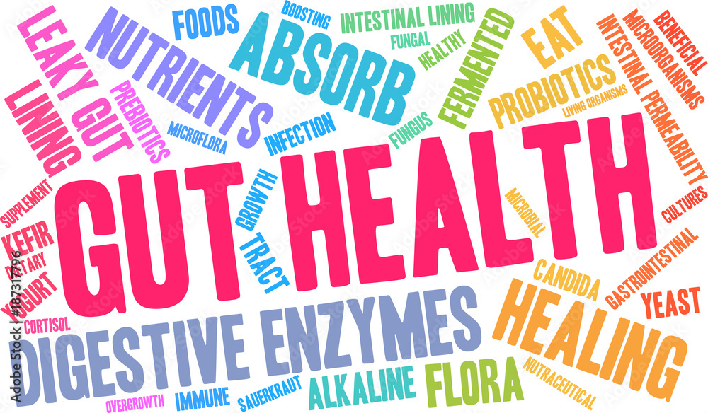 Gut Health Word Cloud on a white background. Gut Health Word Cloud on a white background.