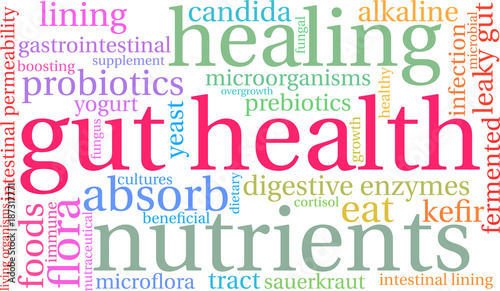 Gut Health Word Cloud on a white background. 