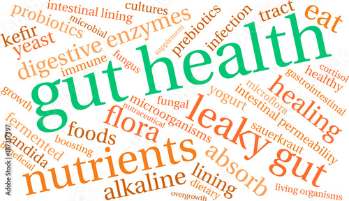 Gut Health Word Cloud on a white background. 