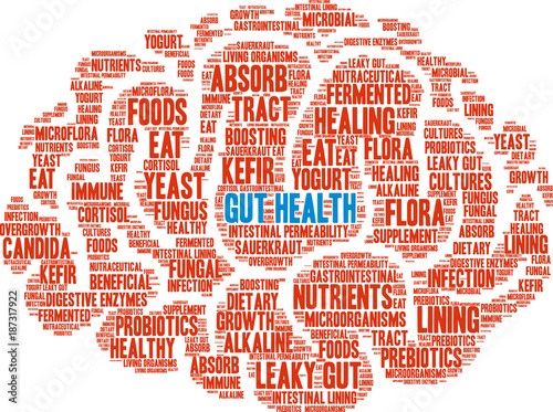 Gut Health Word Cloud on a white background. 