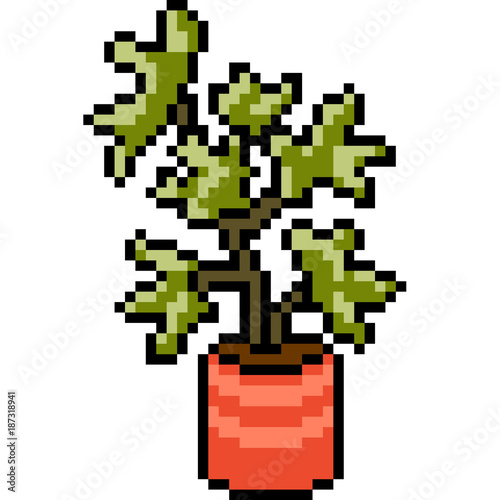 vector pixel art plant pot © Saphatthachat