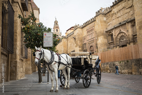 Horse carriage in front of the cathedral in Cordoba, Spain.