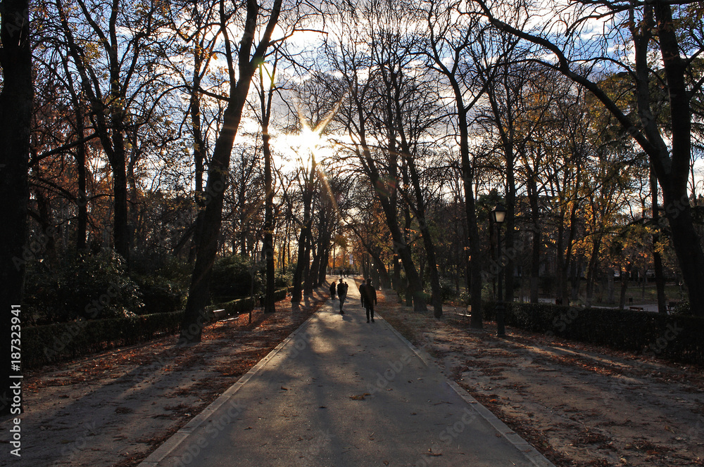 Retiro Park in winter, Madrid