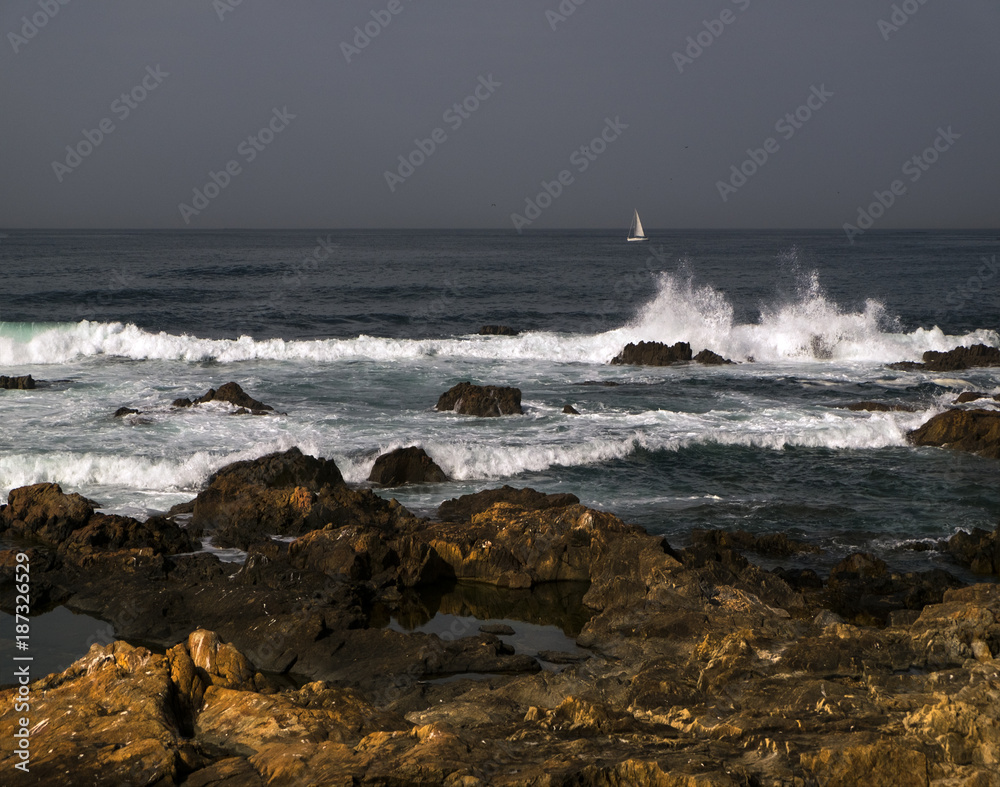 Stones in the ocean. Madeira.