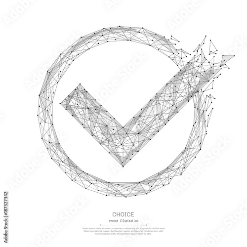 Abstract mash line and point check mark origami on white background with an inscription. Starry sky or space, consisting of stars and the universe. Vector choice illustration