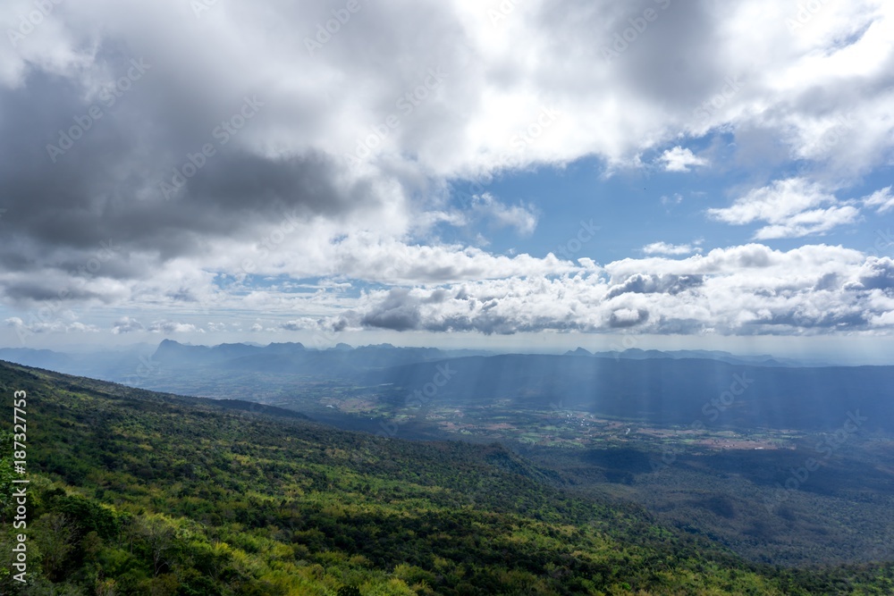Background of landscape forest and cloudy sky Background of landscape forest and cloudy sky