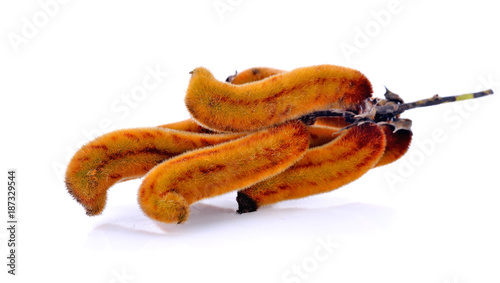 velvet bean isolated on white background