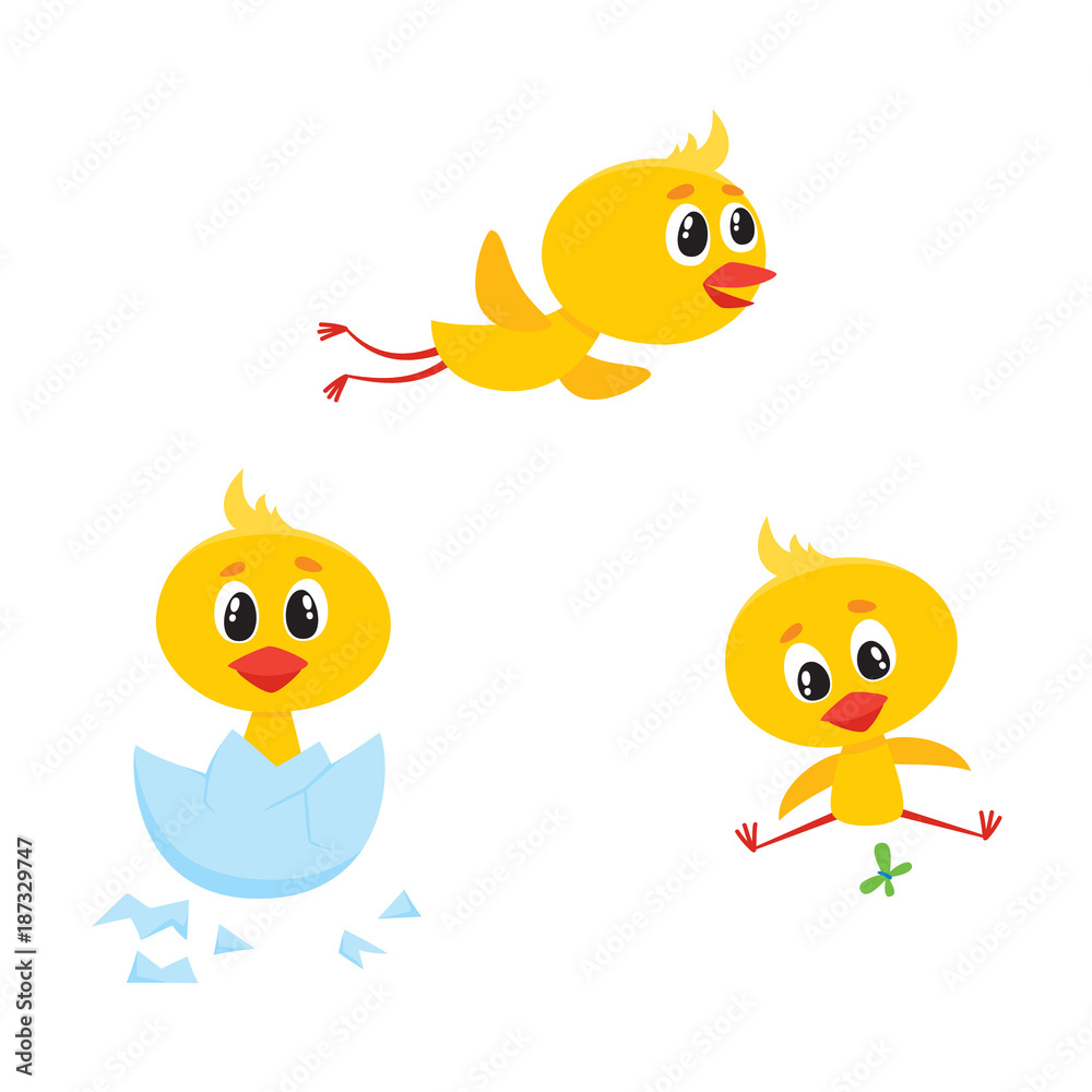 vector cartoon cute baby chicken characters set. Yellow small funny chicks flying, hatching from egg and playing with butterfly. Flat bird animal, isolated illustration on a white background. vector cartoon cute baby chicken characters set. Yellow small funny chicks flying, hatching from egg and playing with butterfly. Flat bird animal, isolated illustration on a white background.