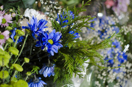 OFRENDA FLORAL A VIRGEN photo