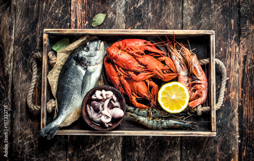 Seafood in an old tray. photo