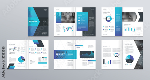 Design vector template layout for company profile ,annual report with cover, brochures, flyers, presentations, leaflet, magazine,book and  a4 size.  photo