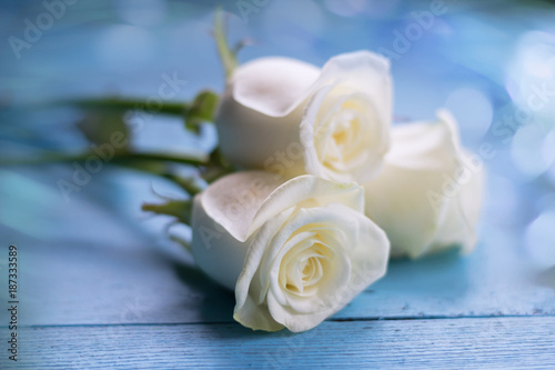 White roses on blue wooden table.Valentine s day  love  romantic wedding  background