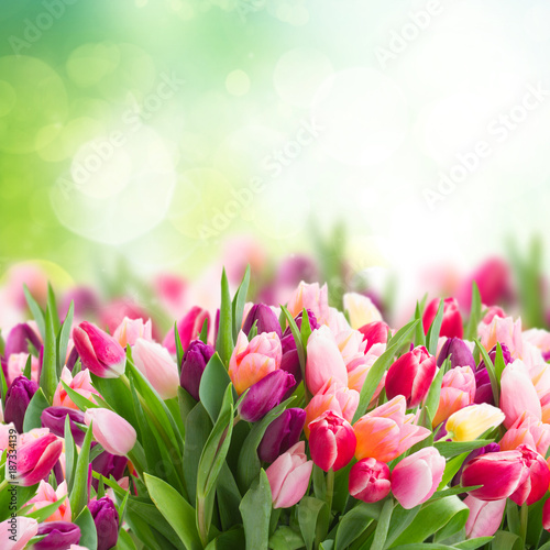 bunch of pink tulips #187334139